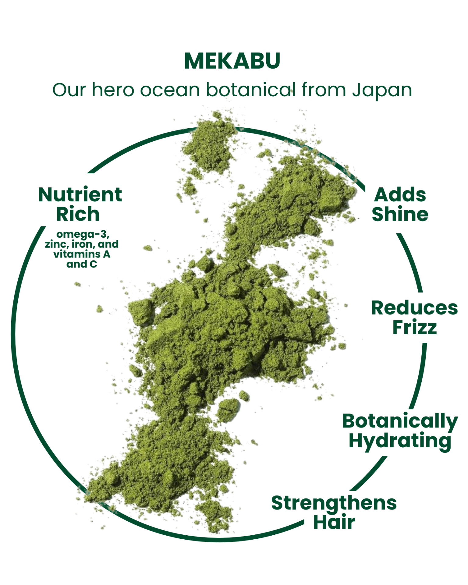 81738856